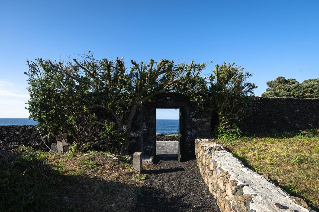 Entre Muros - Turismo Rural - Casa Com Jardim E Acesso Direto Ao Mar リベイラ・グランデ エクステリア 写真