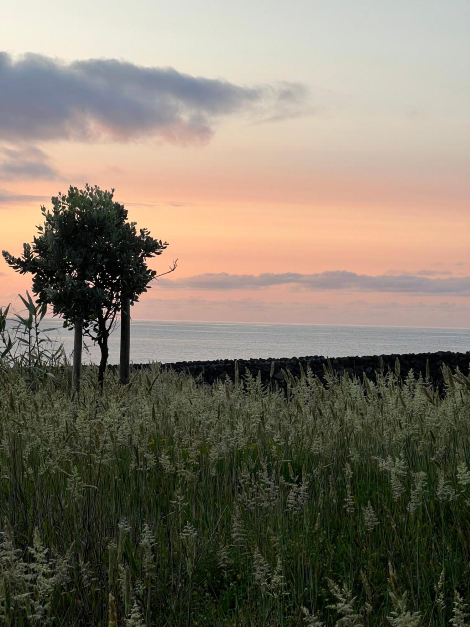 Entre Muros - Turismo Rural - Casa Com Jardim E Acesso Direto Ao Mar リベイラ・グランデ エクステリア 写真